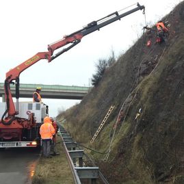 Hang- und Felssicherung mit Alpin- & Umwelt-Service Löwinger GmbH aus Dresden